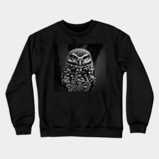 Owl 3D Crewneck Sweatshirt